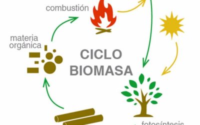 Ahorra con la biomasa