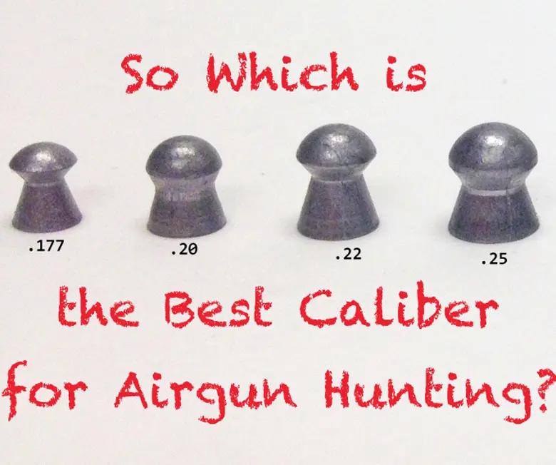 air gun pellet sizes - Are there different size pellets for pellet guns