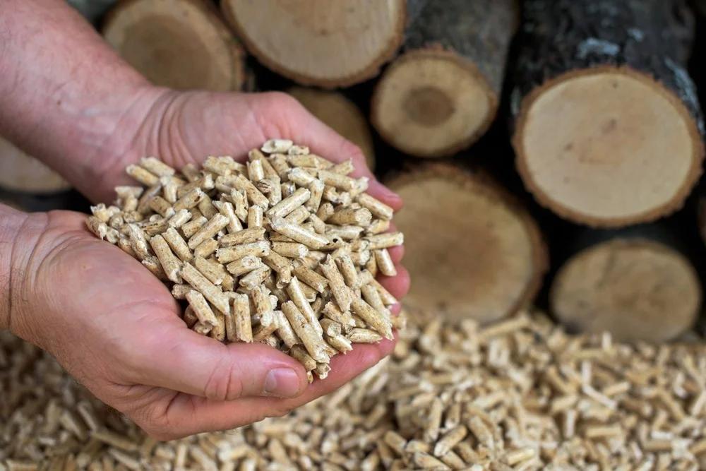 biomass fuel wood pellets - Are wood pellets biomass fuel