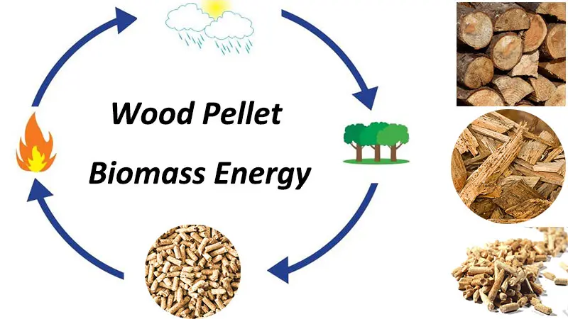 wood pellets renewable energy - Are wood pellets really sustainable