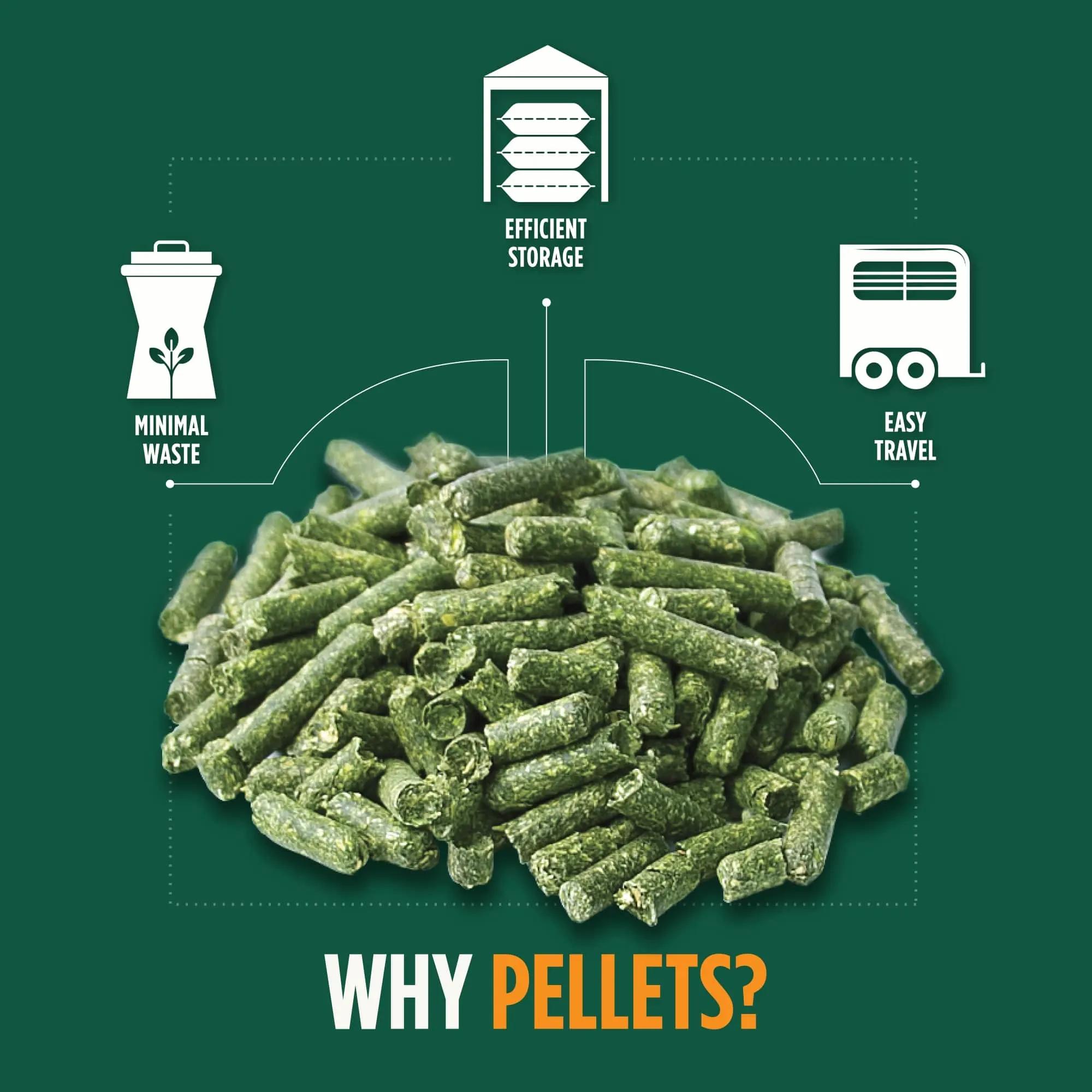 alfalfa pellets uk - Can alfalfa pellets replace hay