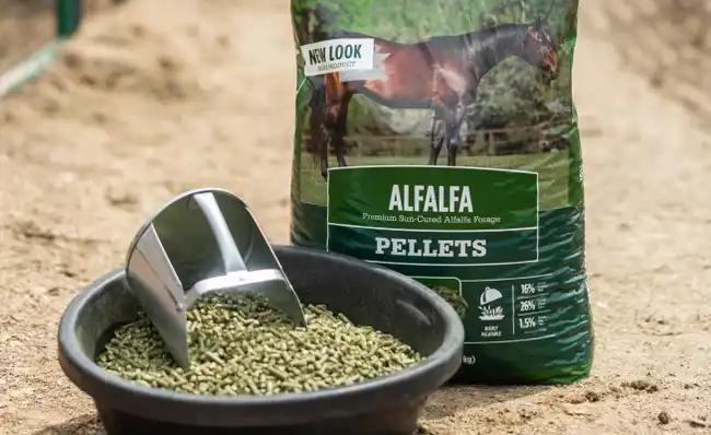 how much alfalfa pellets to feed a horse - Can you feed too much alfalfa pellets