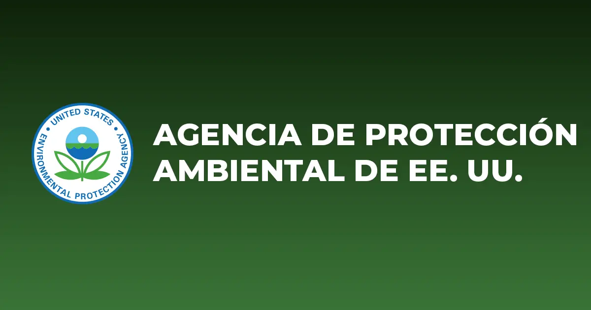 biomasa epoc - Cómo afecta el humo de leña a los pulmones