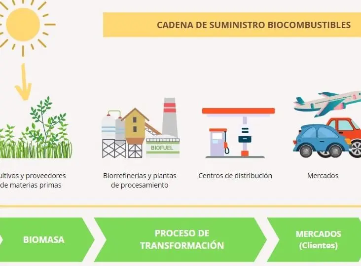 como afecta la biomasa o el biocombustible al medio ambiente - Cómo afecta la biocombustibles al medio ambiente