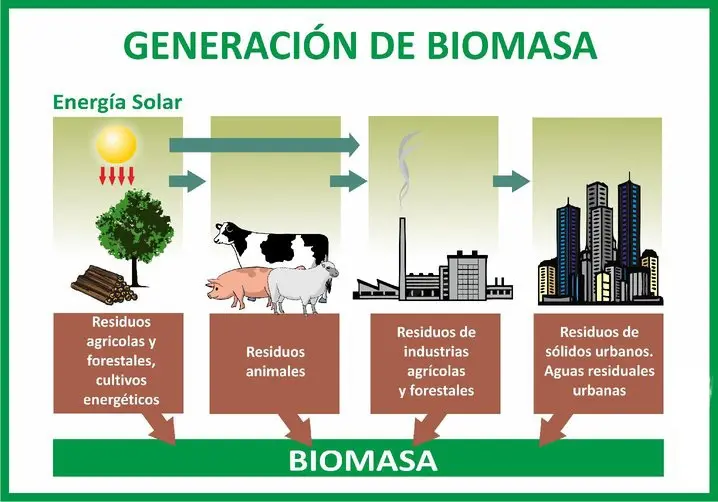 soja biomasa - Cómo afecta la soja en el medio ambiente