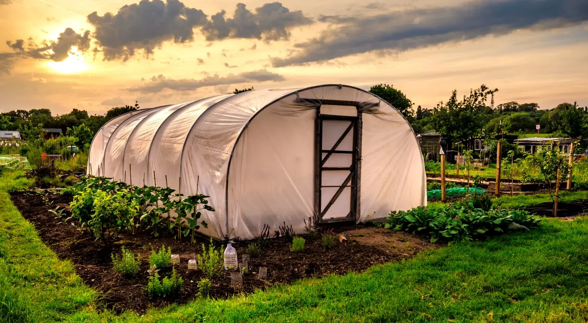 estufa de plantas - Cómo dar calor a las plantas