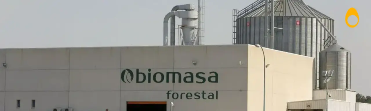 biomasa forestal a coruña - Cómo encontrar la biomasa de un árbol