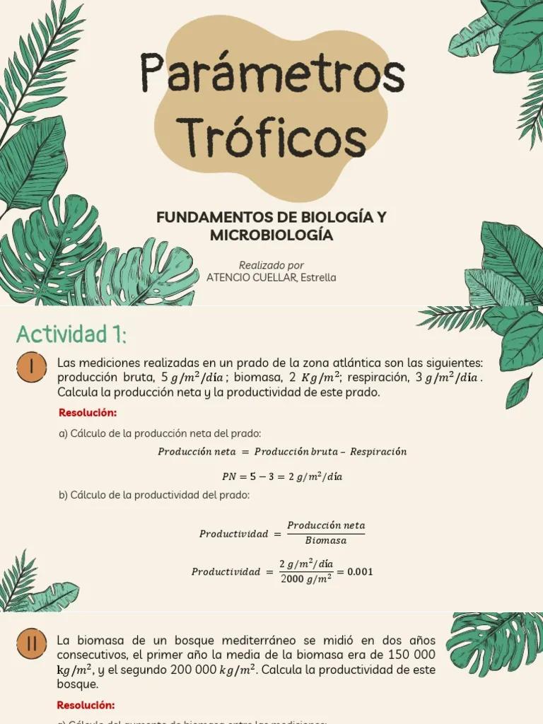 parametros troficos biomasa produccion - Cómo es la producción en los niveles tróficos