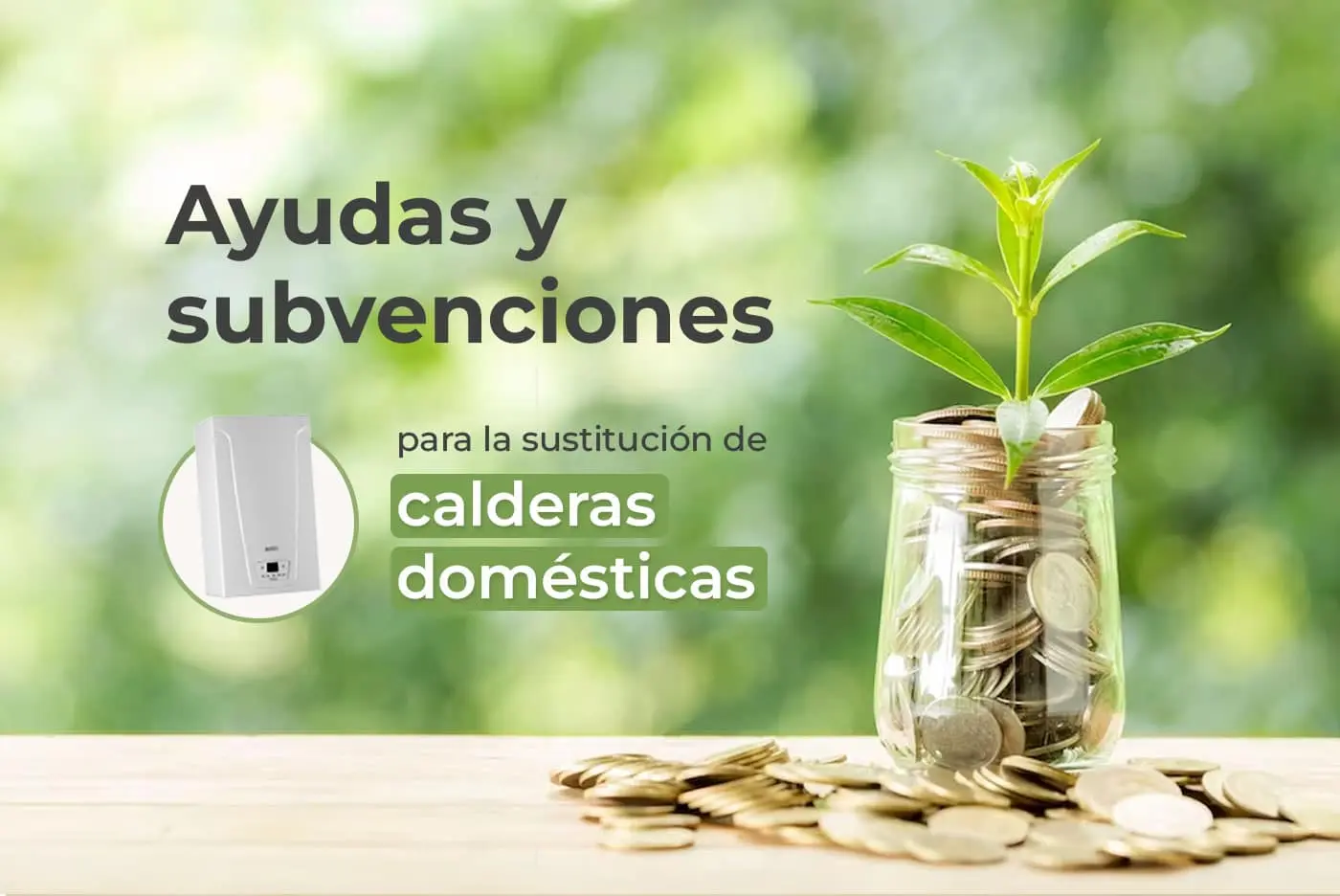 Subvenciones Calderas Pellets en Castilla y León: Tutorial Completa para Ahorrar en Calefacción - Cómo saber si me han concedido la subvencion de placas solares subvenciones calderas pellets castilla y leon - Cómo saber si me han concedido la subvencion de placas solares