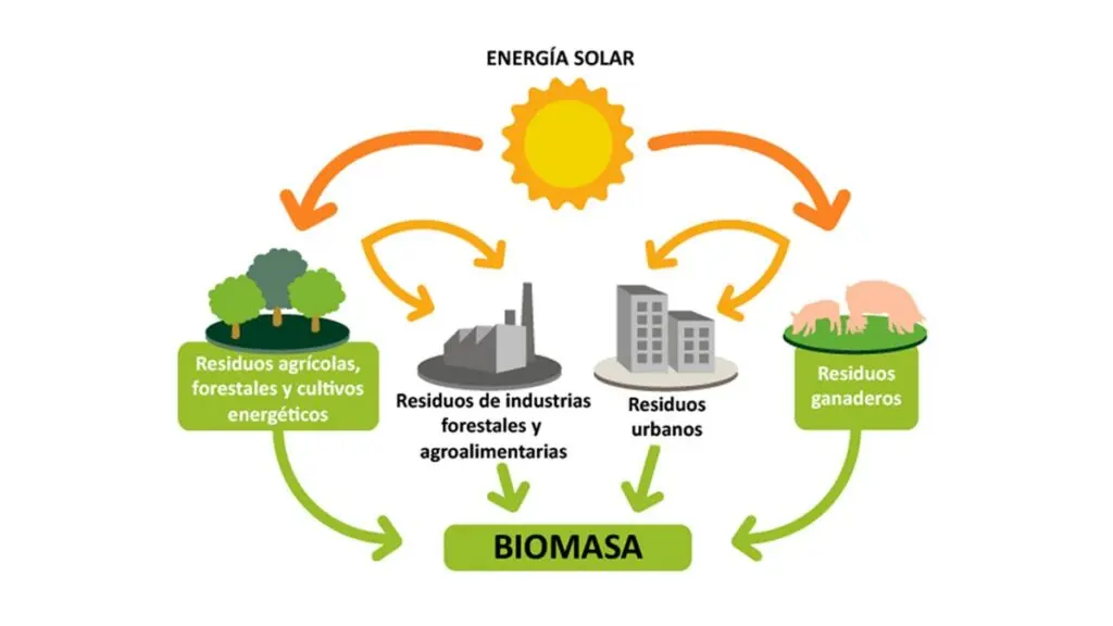 el proceso de transformacion en energía electrica de la biomasa - Cómo se da el proceso de transformación de la energía