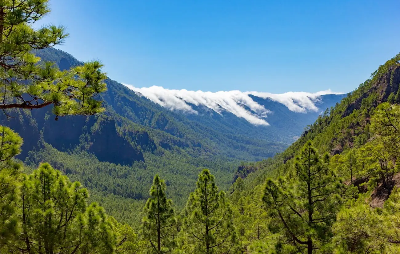 caldera de taburiente - Cómo se ha formado la Caldera de Taburiente