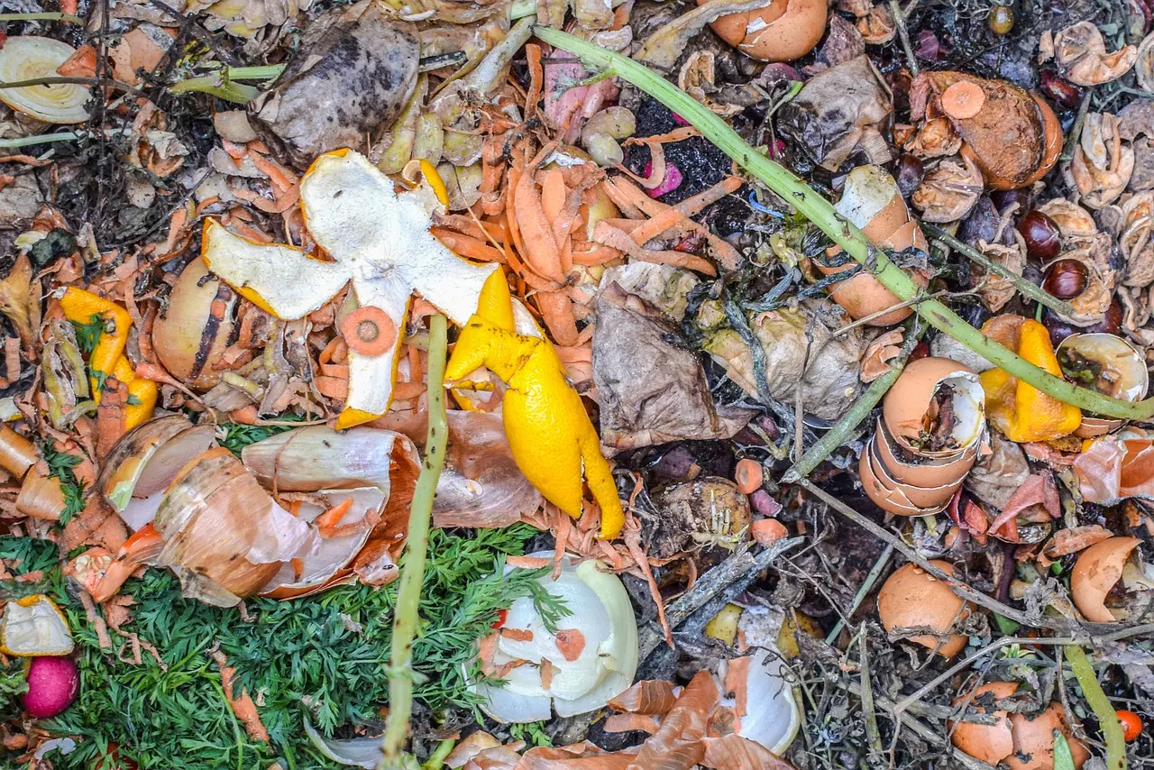 Biomasa Residual: Aprovechando la Basura para Generar Energía - Cómo se llama el líquido residual de la basura biomasa residual basura - Cómo se llama el líquido residual de la basura