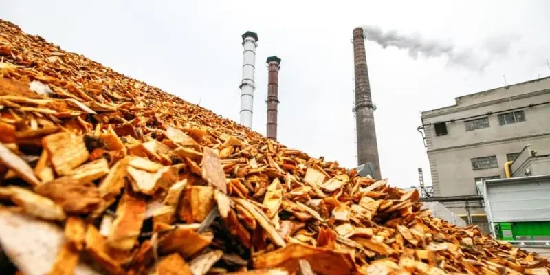 energia biomasa residual - Cómo se llama la energía residual