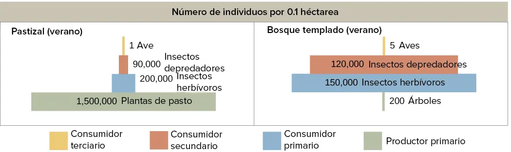 kcal kg año productividad biomasa ecosistema - Cómo se mide la productividad de un ecosistema