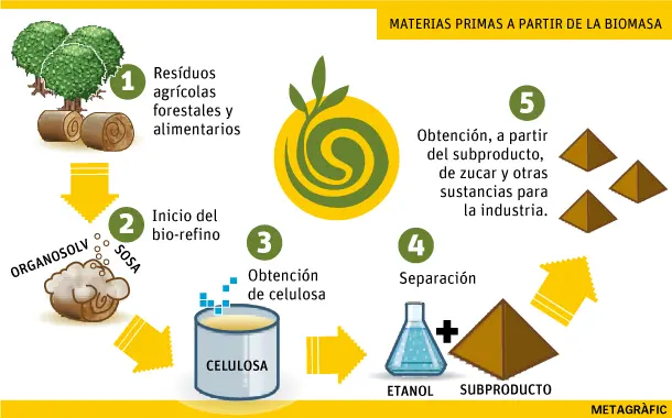 como extraer la celulosa de la biomasa - Cómo se obtiene la pulpa de celulosa