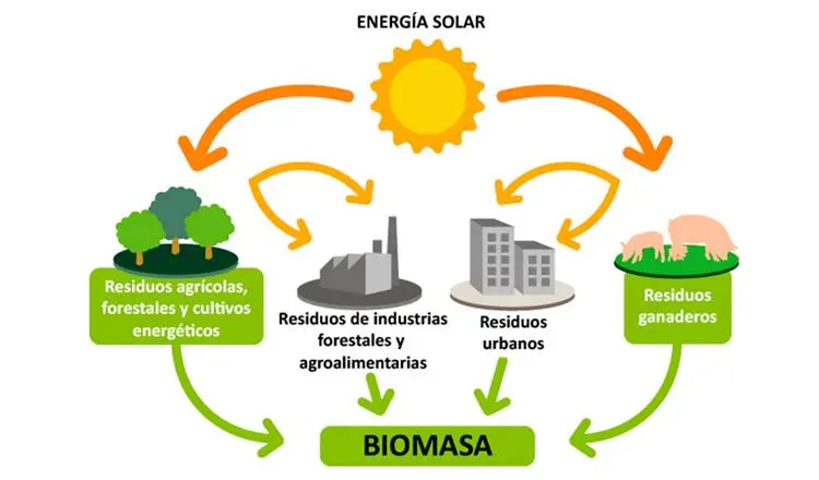 produccion de energia primaria con biomasa - Cómo se produce la energía primaria