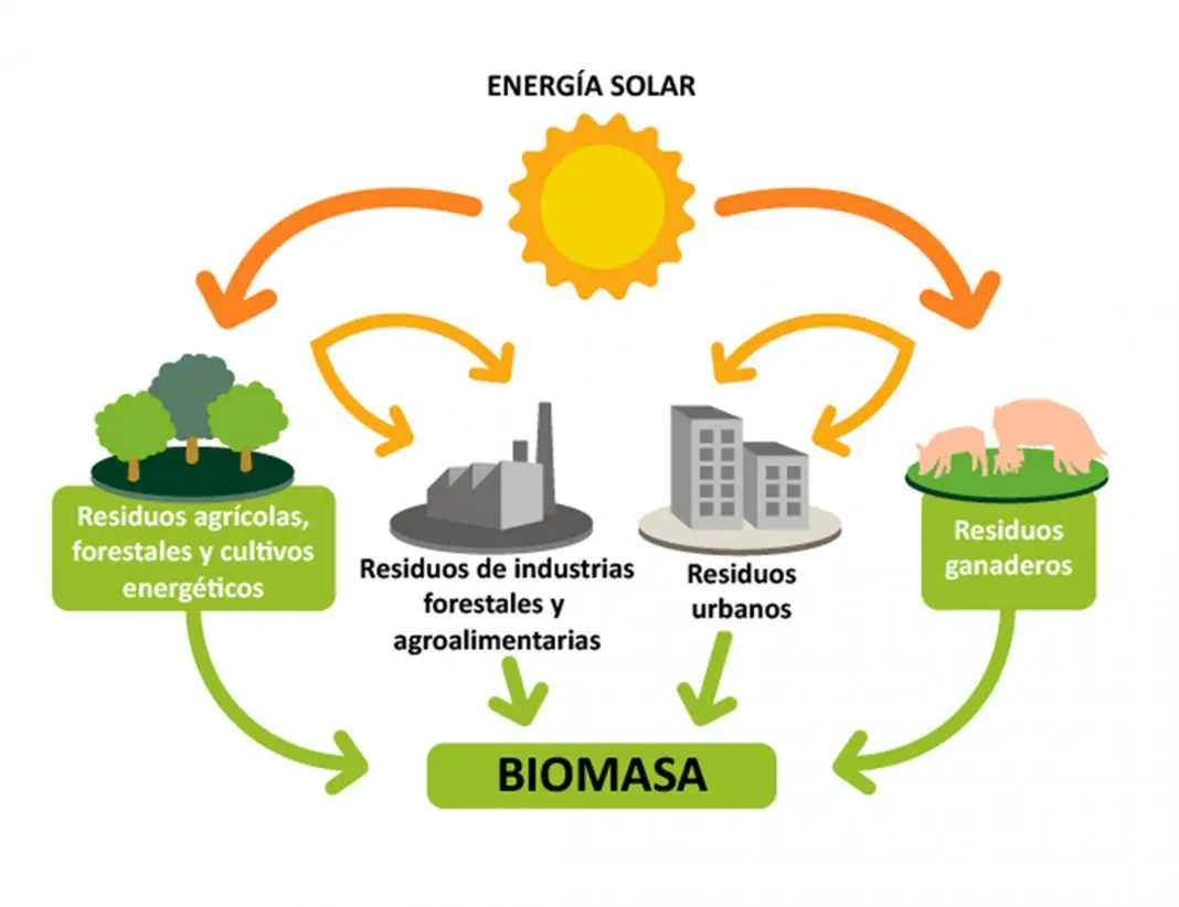 la biomasa contamina el medio ambiente - Cuál es el impacto negativo de la biomasa