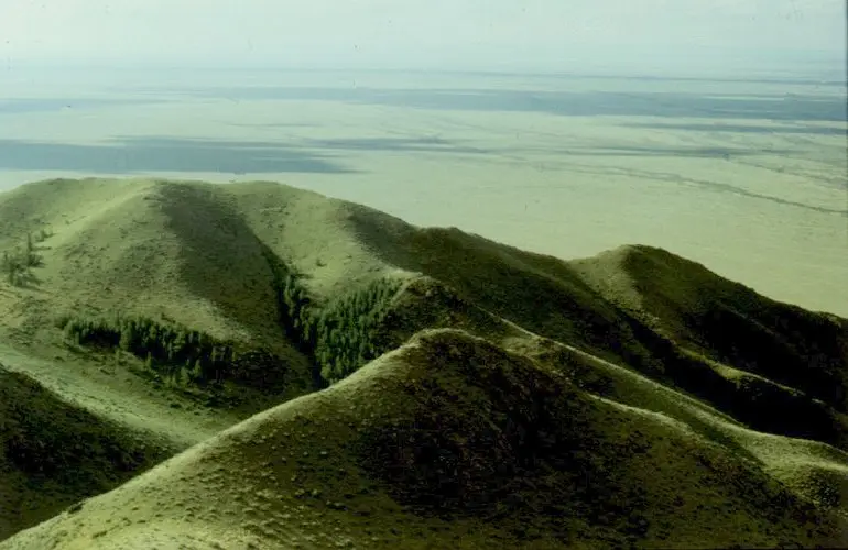 nivells de biomasa de la pradera y esteñpa - Cuál es el tipo de suelo de la pradera