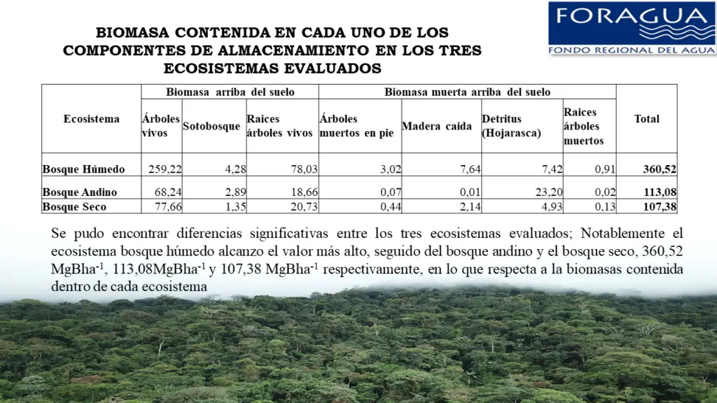 cantidad de biomasa en ecosistema tropical - Cuál es la biomasa de la Amazonia