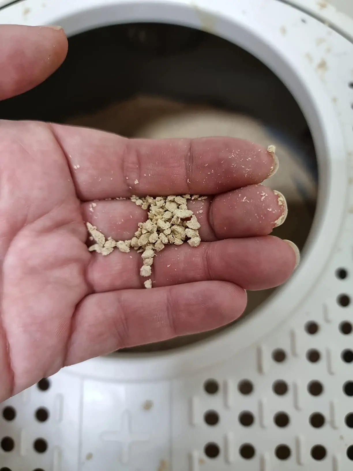 tofu pellet - Cuál es la mejor arena para gatos con asma