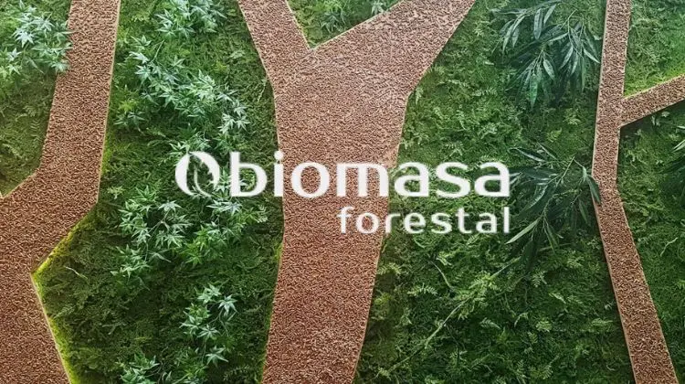 indicador biomasa forestal españa - Cuál es la provincia española con más árboles