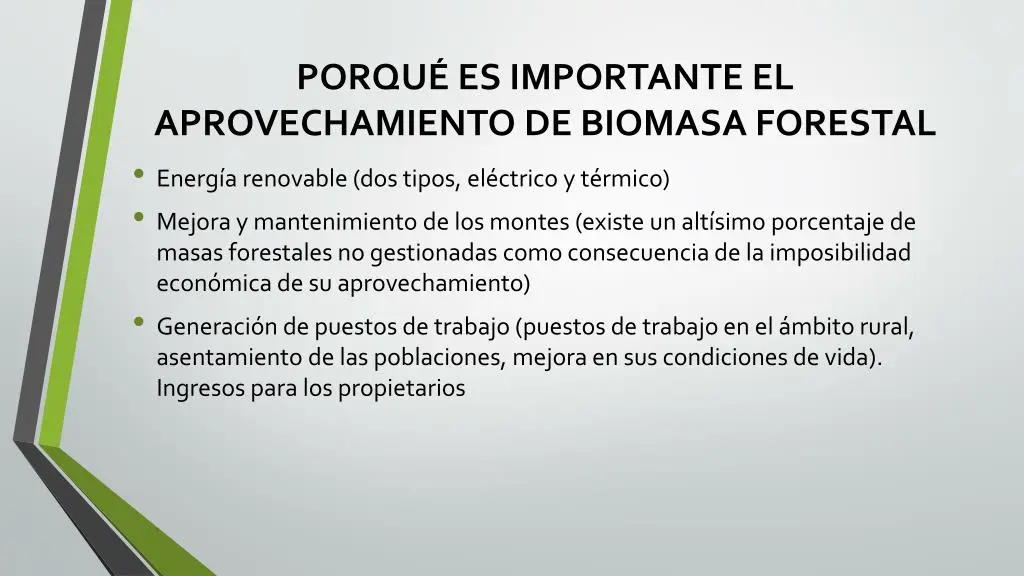 en el aprovechamiento de biomasa tiene especial importancia - Cuál es una de las tecnologías empleadas en el aprovechamiento de la biomasa