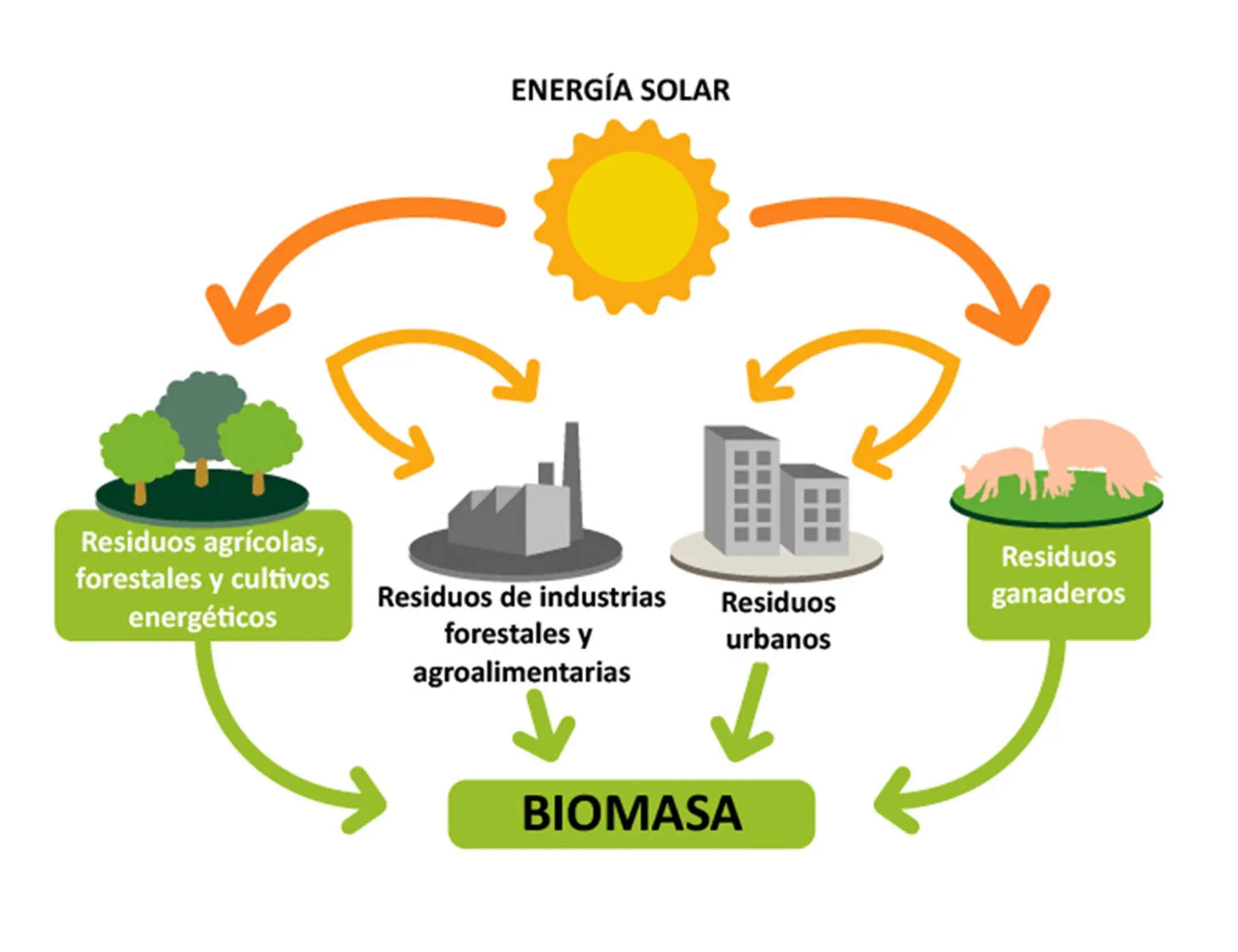 inconvenientes y ventajas uso biomasa - Cuál es una desventaja del combustible de biomasa