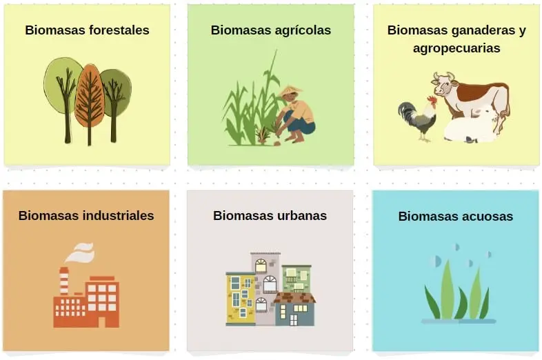 tipos de biomasa natural - Cuáles son las clasificaciones de la biomasa