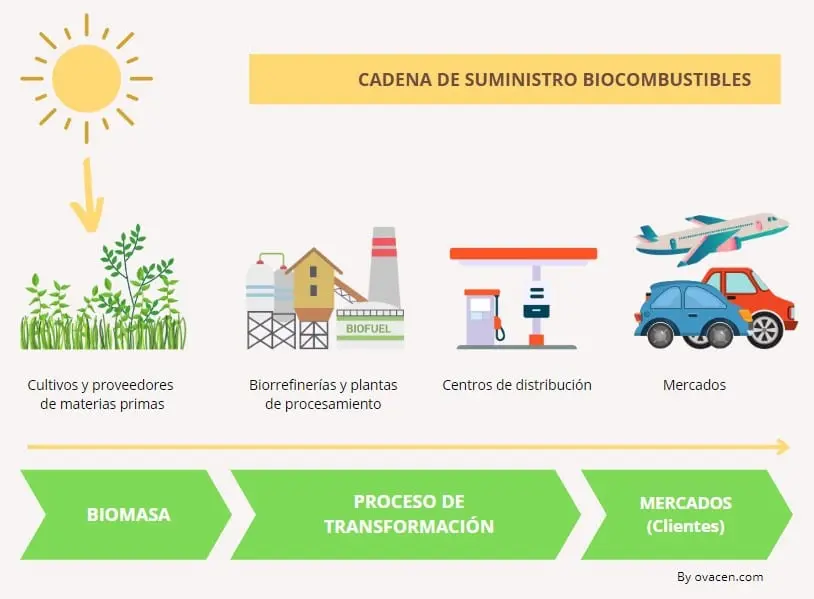 biomasa y biocarburantes - Cuáles son las energias biocarburantes