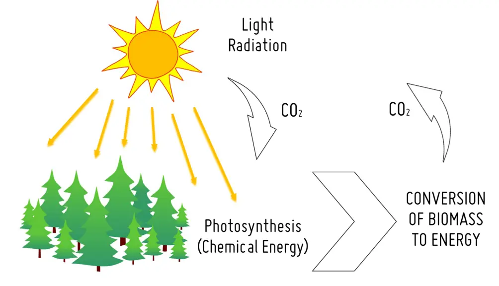 impacto ambiental de la energia biomasa - Cuáles son los impactos ambientales del uso de energía de biomasa