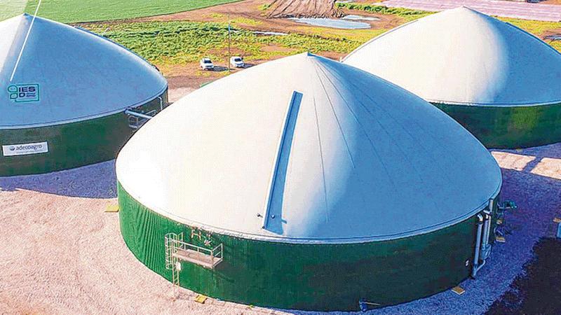 central biomasa en argentina - Cuántas centrales de biomasa hay en Argentina