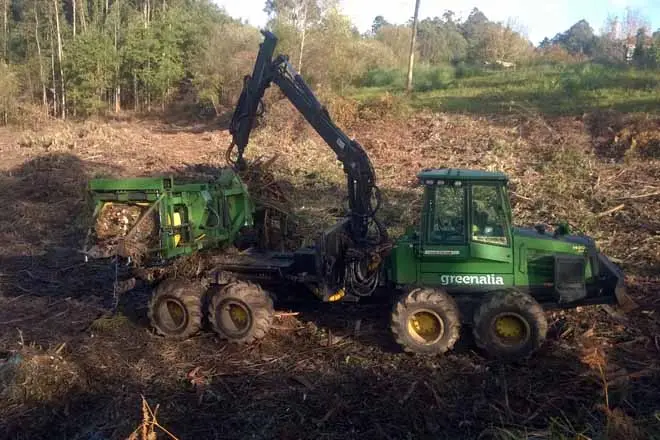 cantidad biomasa residual viñedos de españa - Cuántas hectareas de vino tiene España