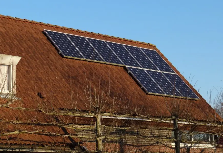 si intala biomasa hay que poner placas solares - Cuántas placas solares hay que poner para ser autosuficiente