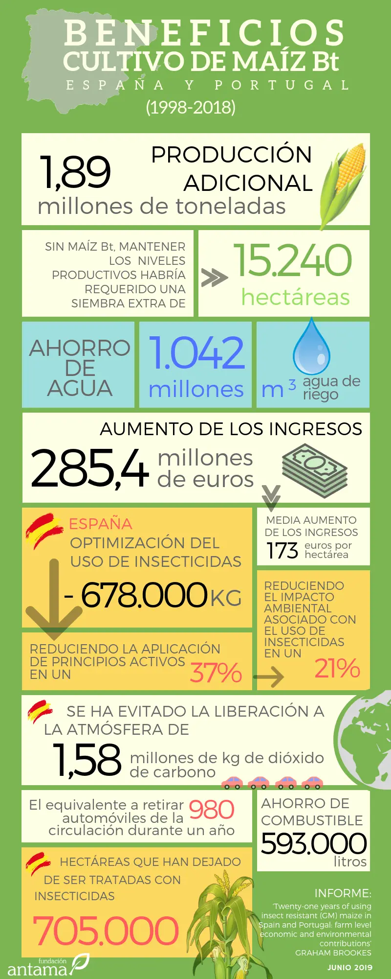El Rendimiento del Maíz en España: Un Análisis de la Biomasa - Cuántas toneladas de maíz produce España rendimiento biomasa españa maiz - Cuántas toneladas de maíz produce España