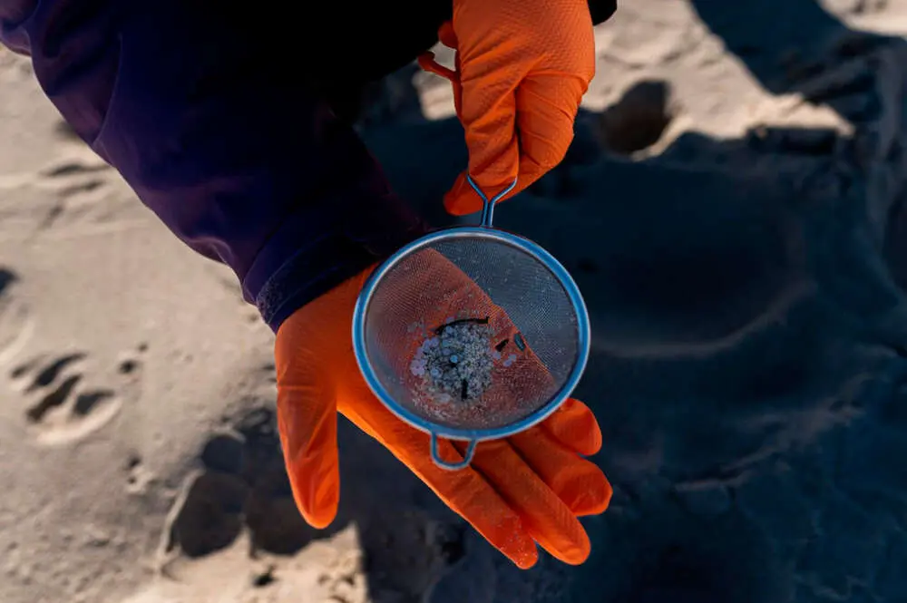 carguero pellets - Cuántas toneladas de pellets cayeron al mar