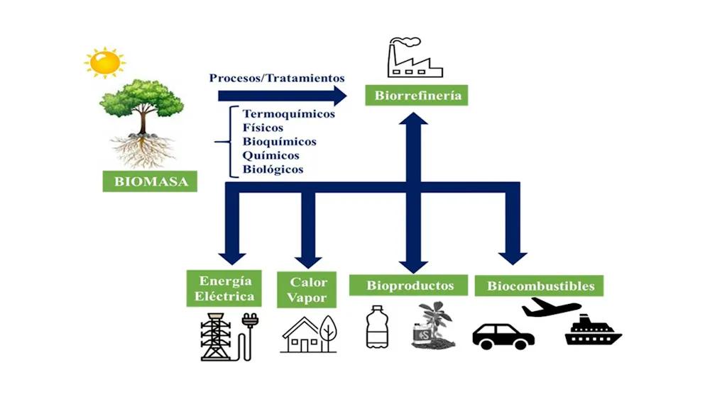 como afecta la biomasa o el biocombustible al medio ambiente - Cuánto contaminan los biocombustibles