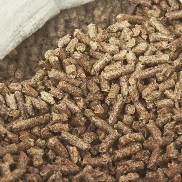 pellets de madera de olivo - Cuánto cuesta 1000 kg de leña de olivo