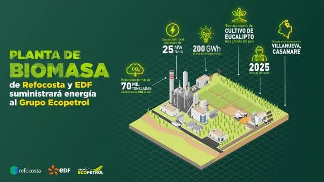 inversion media por mw biomasa - Cuánto cuesta generar 1 MW