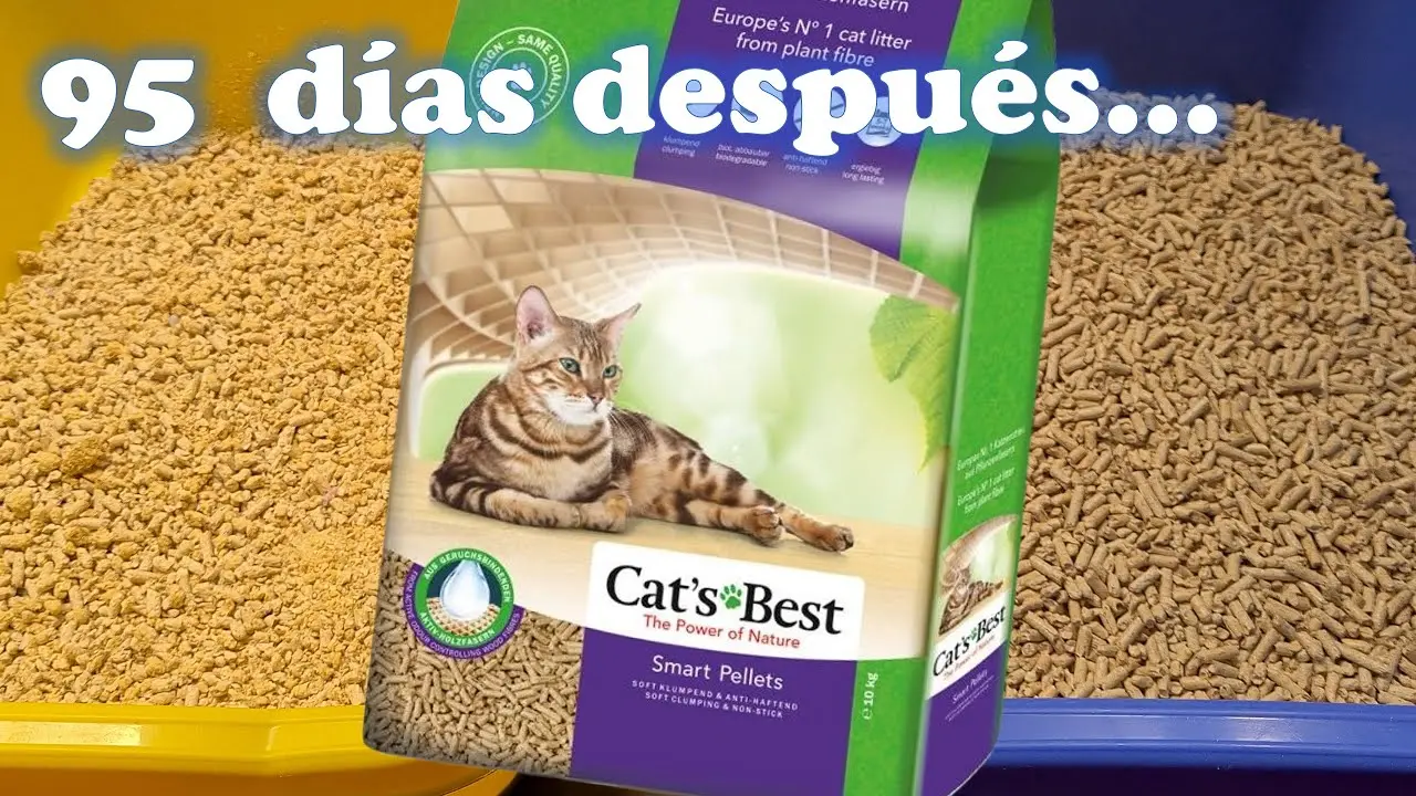 cat's best smart pellets vs original - Cuánto dura la arena Cats Best