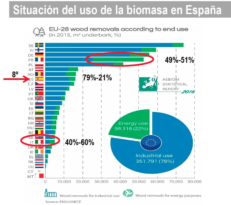 biomasa forestal evolucion españa - Cuánto ha aumentado la masa forestal en España