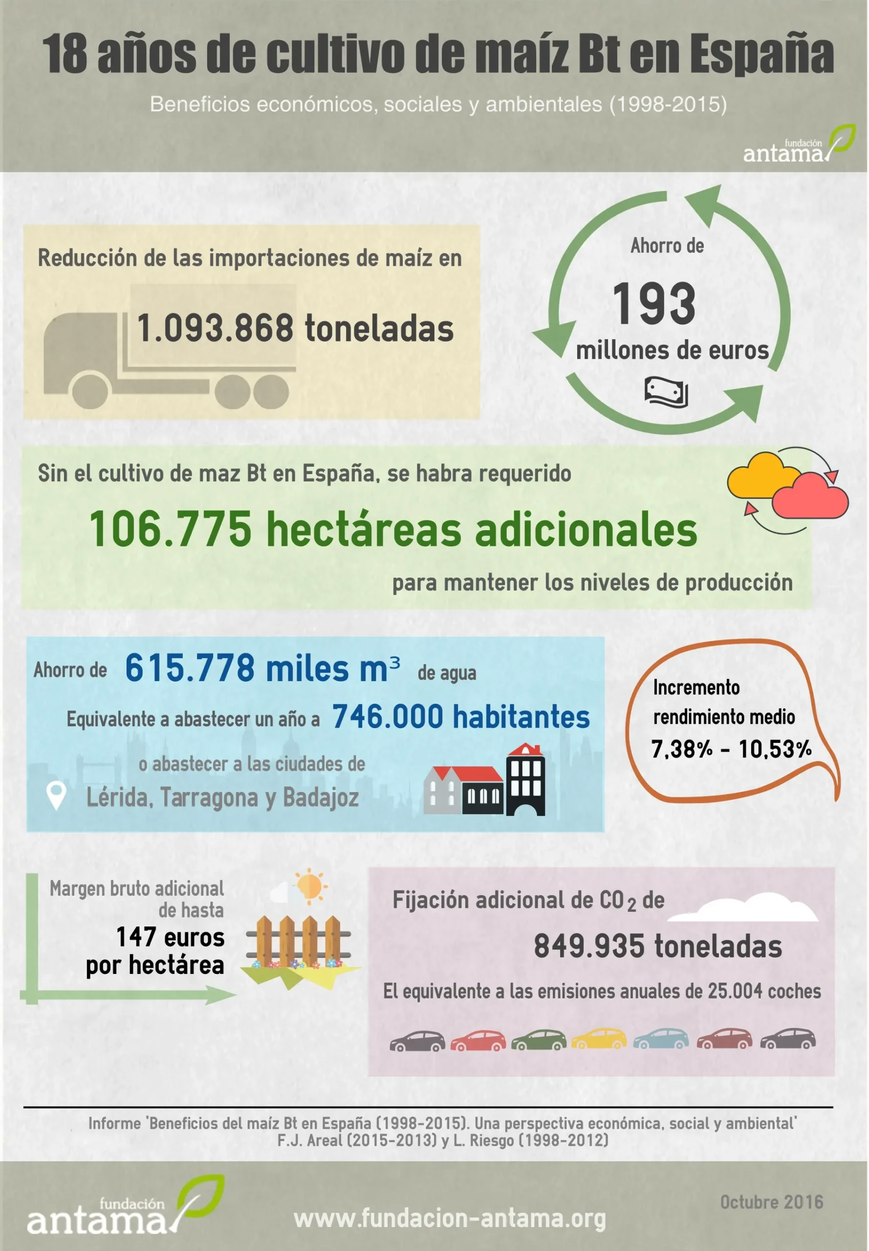 El Rendimiento del Maíz en España: Un Análisis de la Biomasa - Cuánto produce una hectárea de maíz en España rendimiento biomasa españa maiz - Cuánto produce una hectárea de maíz en España