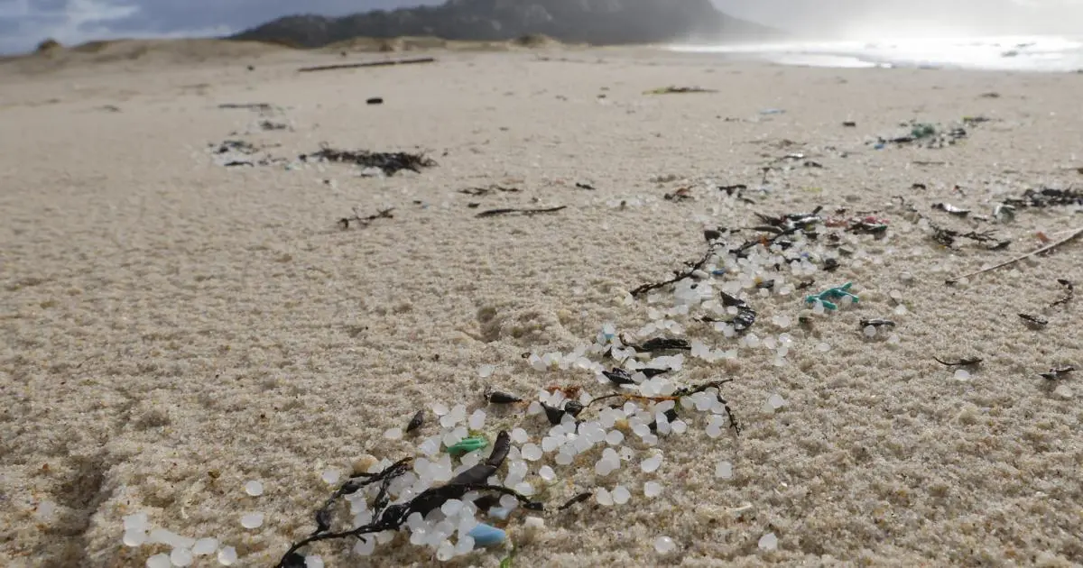 ¿Cuántos pellets cayeron del barco? Un análisis del impacto ambiental - Cuántos pellets cayeron del barco cuantos pellets cayeron - Cuántos pellets cayeron del barco