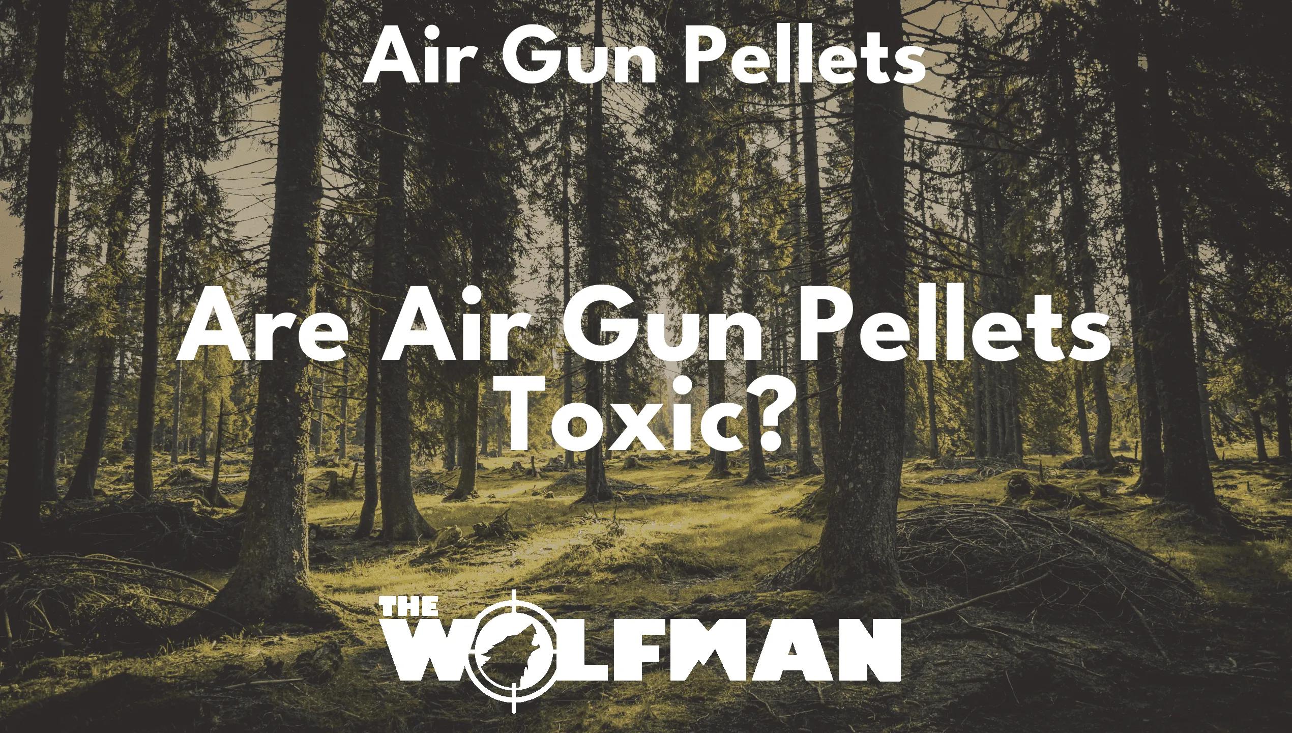 are air gun pellets toxic - Do airsoft pellets contain lead