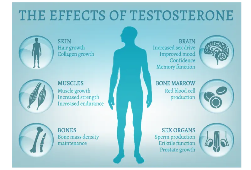 testosterone pellets benefits - Do testosterone pellets reduce belly fat