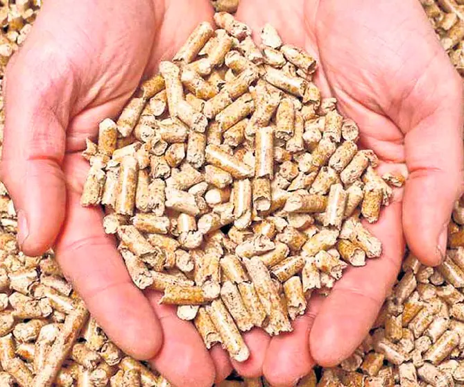 pellet energia renovable - El combustible de pellets es ecológico