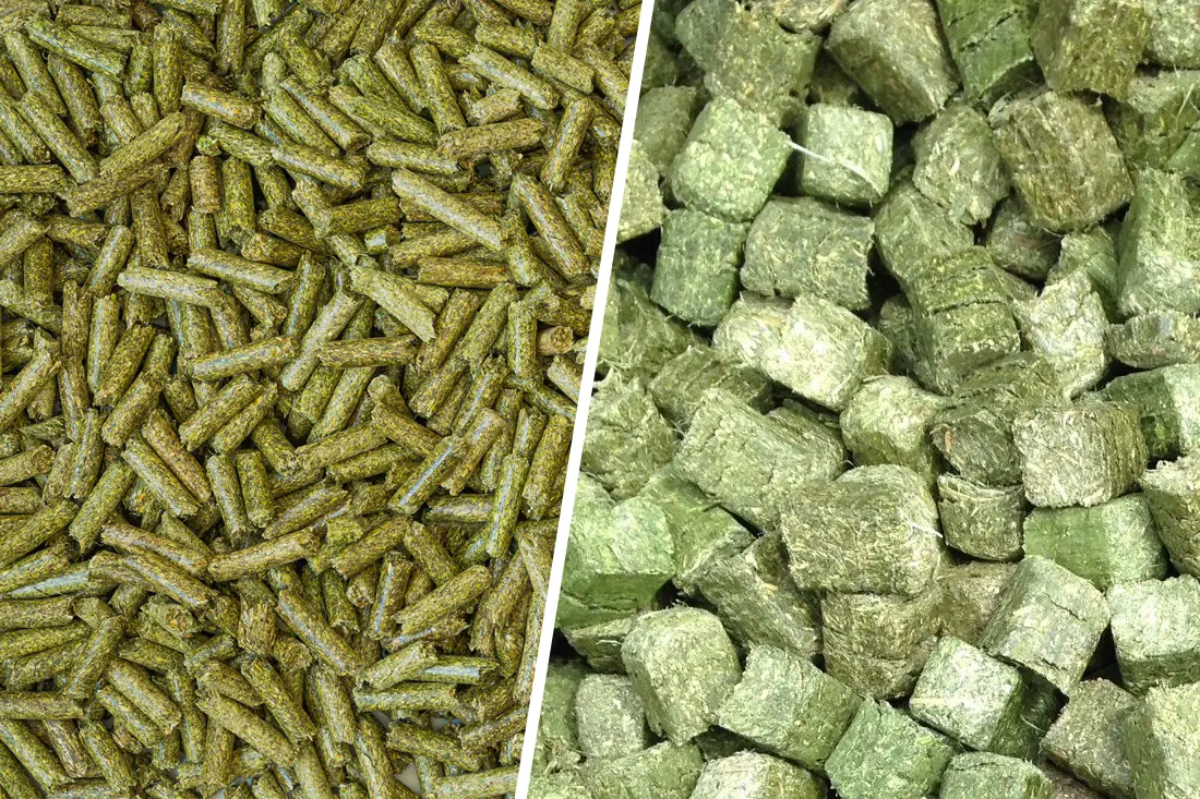 feeding pellets to horses - How many pellets should a horse eat a day