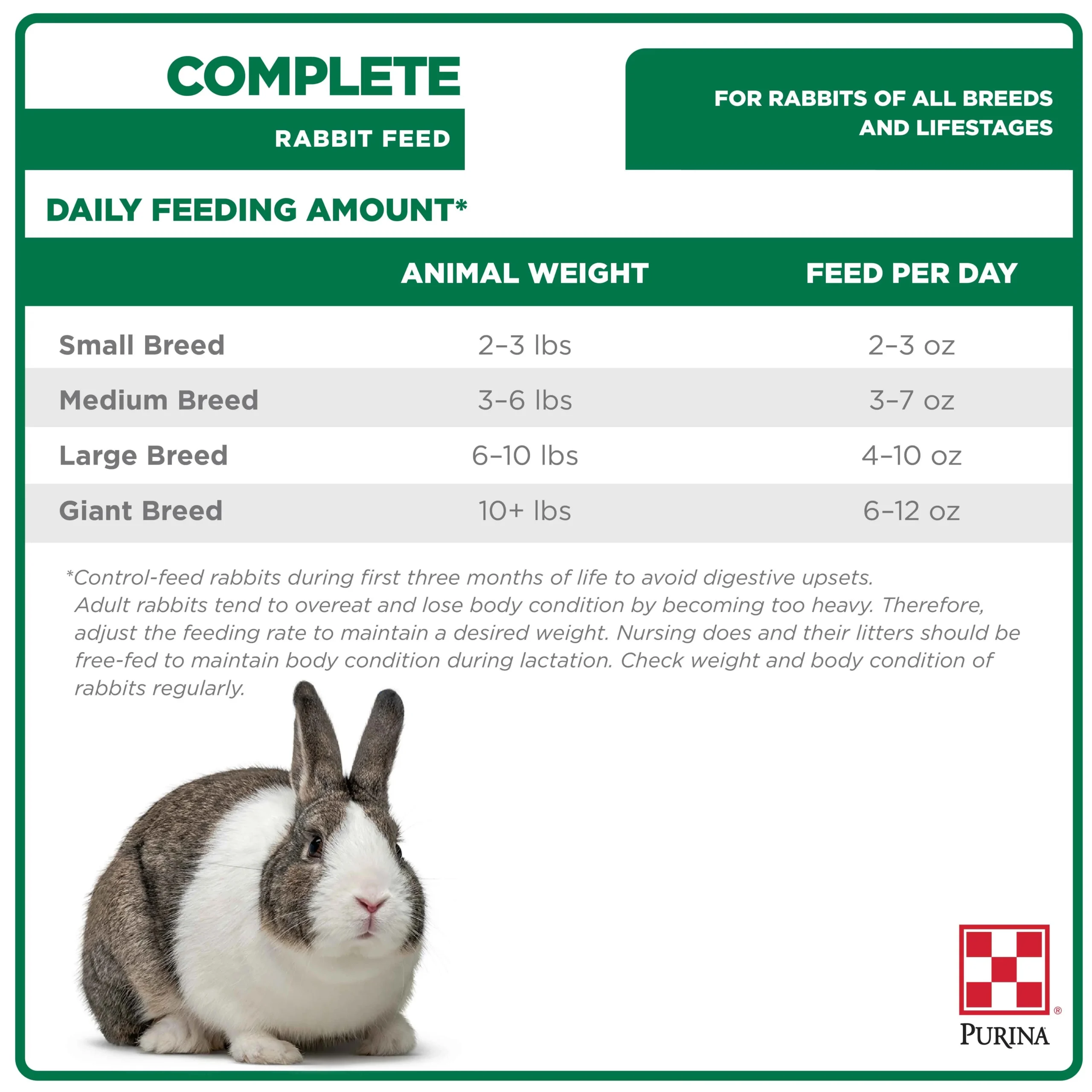 amount of pellets for rabbits - How much should my bunny eat a day