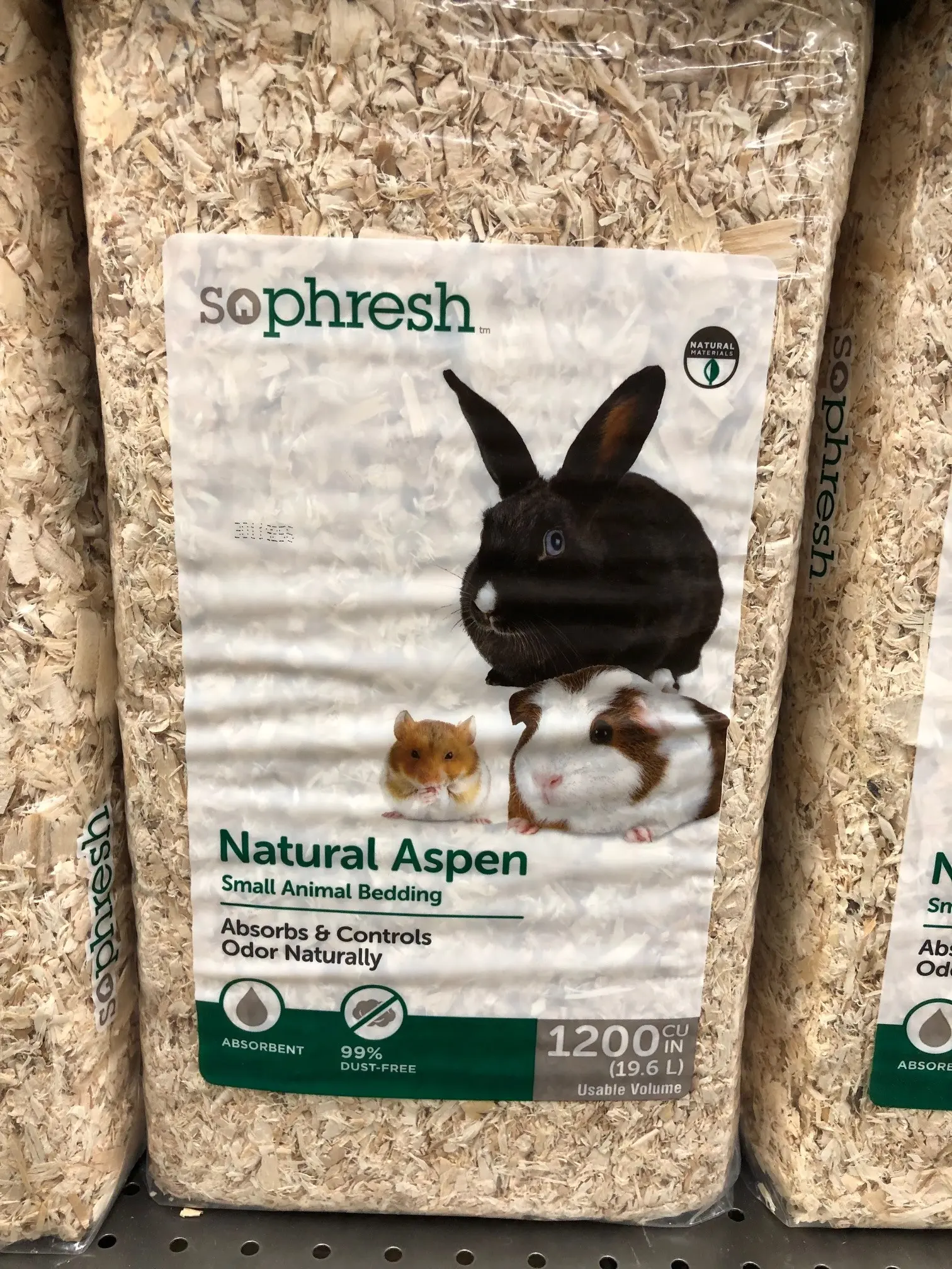 are pine pellets safe for rabbits - Is pinewood safe for rabbits