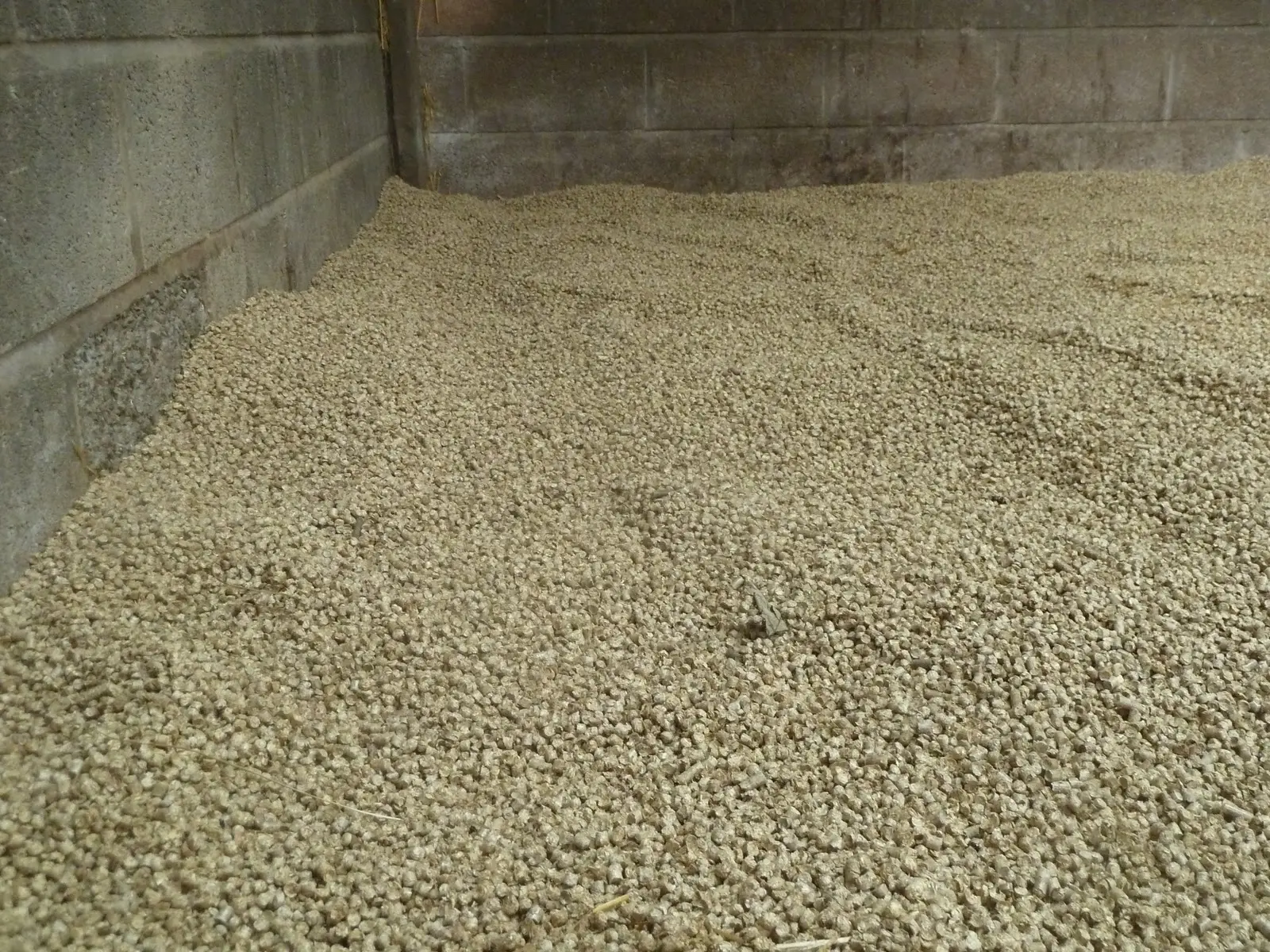 straw pellets horse bedding - Is straw bedding good for horses