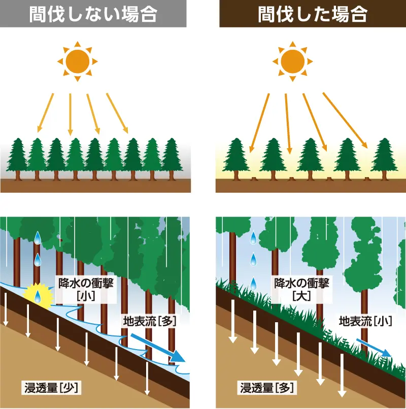 pellet 意味 - Pelletとは化学で何ですか？